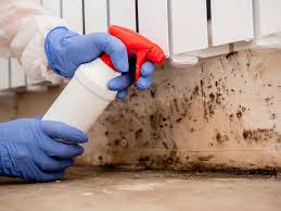 Why You Should Choose Our Mold Remediation Services in Roswell, NM